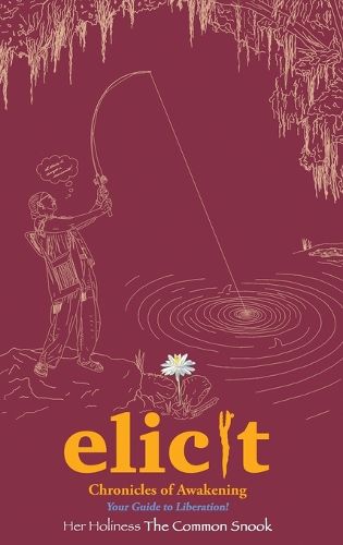 Cover image for Elicit