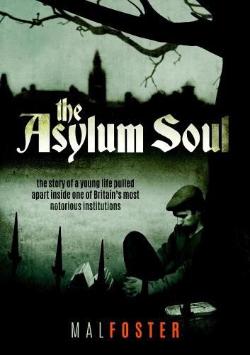 Cover image for The Asylum Soul