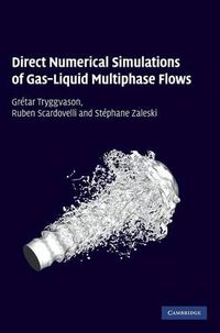Cover image for Direct Numerical Simulations of Gas-Liquid Multiphase Flows
