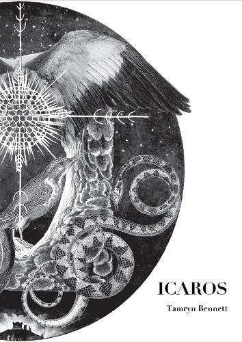 Cover image for Icaros