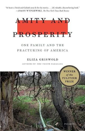 Cover image for Amity and Prosperity: One Family and the Fracturing of America