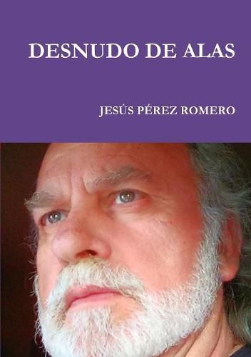 Cover image for Desnudo De Alas