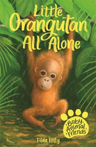 Cover image for Baby Animal Friends: Little Orangutan All Alone: Book 3