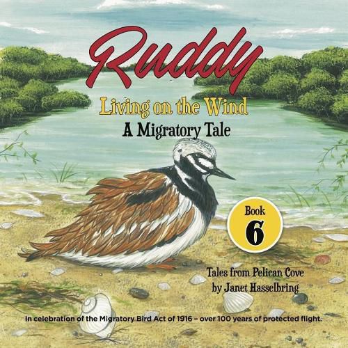 Cover image for Ruddy: Living on the Wind: A Migratory Tale