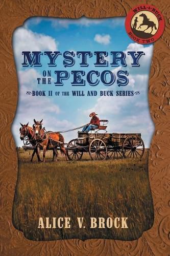 Cover image for Mystery on the Pecos