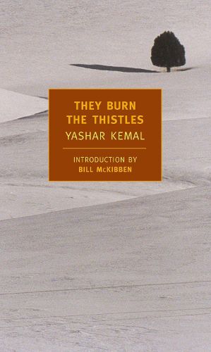 Cover image for They Burn the Thistles