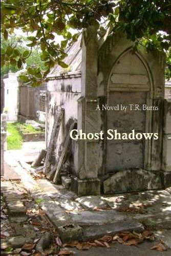 Cover image for Ghost Shadows