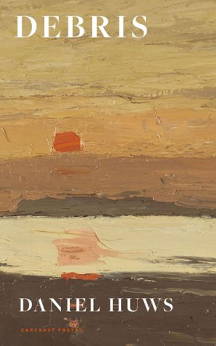 Cover image for Debris