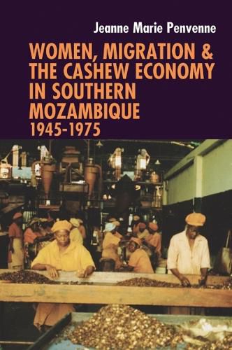 Cover image for Women, Migration & the Cashew Economy in Southern Mozambique: 1945-1975