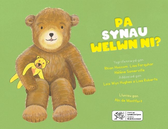 Cover image for Pa Synau Welwn Ni?