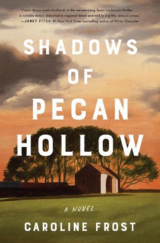 Shadows of Pecan Hollow: A Novel