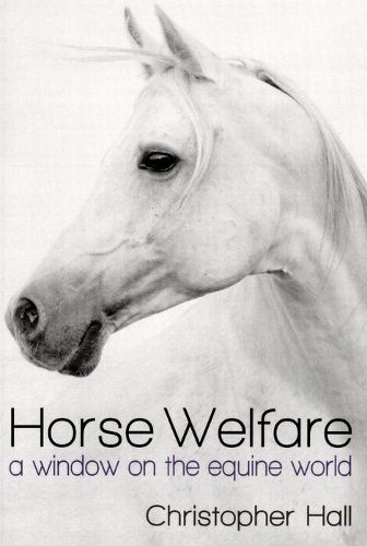 Cover image for Horse Welfare