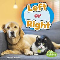 Cover image for Left or Right