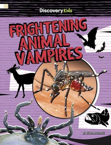 Cover image for Frightening Animal Vampires