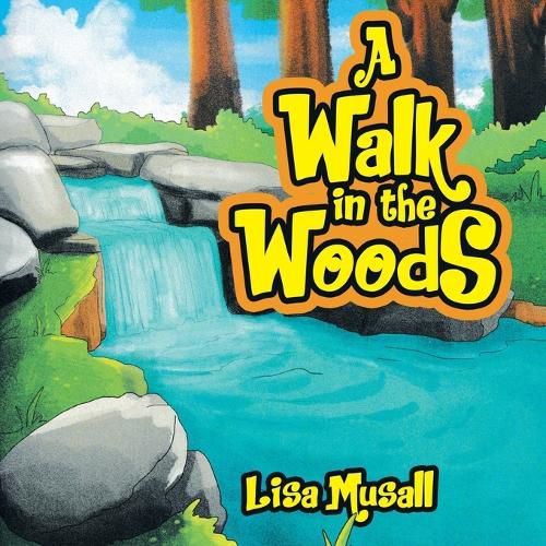 Cover image for A Walk in the Woods
