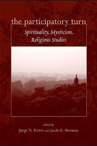 Cover image for The Participatory Turn: Spirituality, Mysticism, Religious Studies