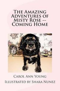 Cover image for The Amazing Adventures of Misty Rose -- Coming Home