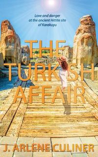 Cover image for The Turkish Affair