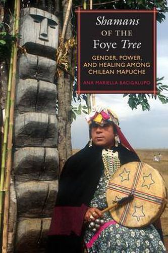 Cover image for Shamans of the Foye Tree: Gender, Power, and Healing among Chilean Mapuche