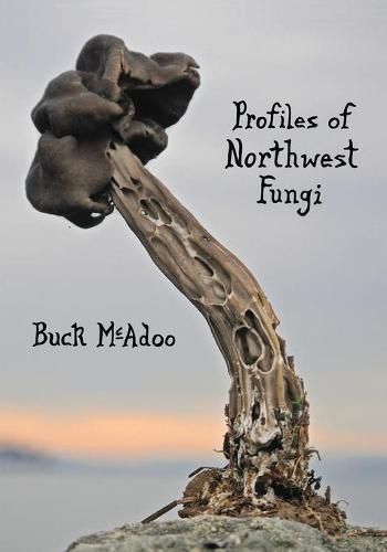 Cover image for Profiles of Northwest Fungi