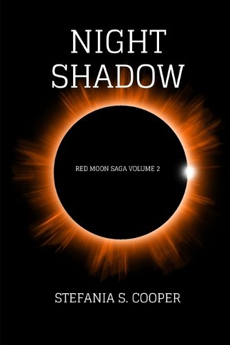 Cover image for Night Shadow