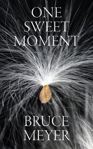 Cover image for One Sweet Moment