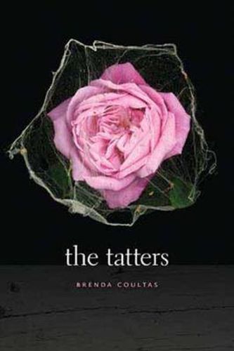 Cover image for The Tatters