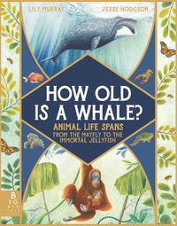 Cover image for How Old Is a Whale?: Animal Life Spans from the Mayfly to the Immortal Jellyfish