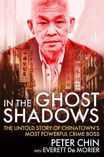 Cover image for In the Ghost Shadows