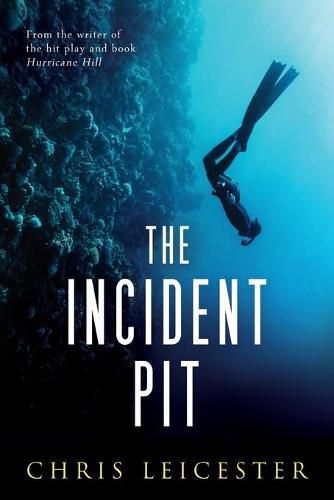 Cover image for The Incident Pit