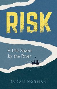 Cover image for Risk