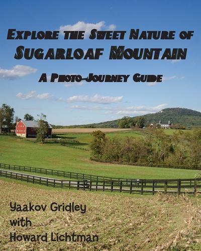 Cover image for Explore the Sweet Nature of Sugarloaf Mountain