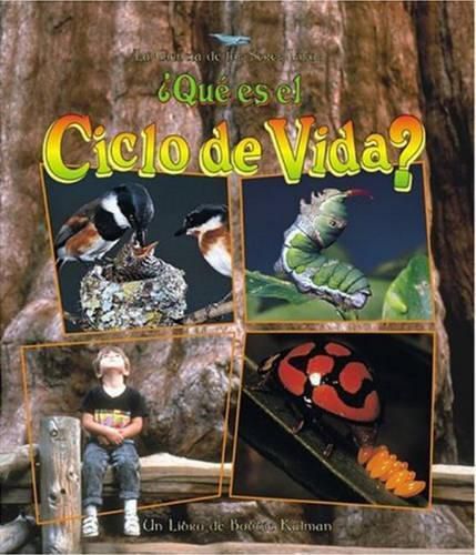 Cover image for Que es el Ciclo de Vida?