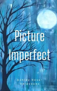 Cover image for Picture Imperfect