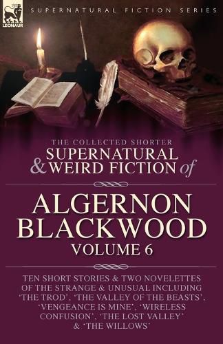 Cover image for The Collected Shorter Supernatural & Weird Fiction of Algernon Blackwood Volume 6