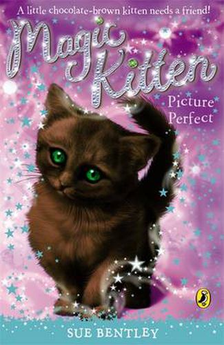 Magic Kitten: Picture Perfect