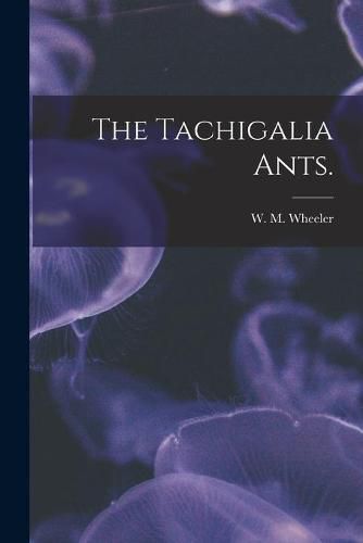 The Tachigalia Ants.