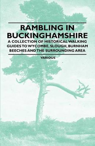 Cover image for Rambling in Buckinghamshire - A Collection of Historical Walking Guides to Wycombe, Slough, Burnham Beeches and the Surrounding Area