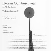 Cover image for Here in Our Auschwitz, and Other Stories