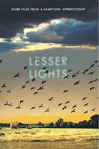 Cover image for Lesser Lights: More Tales from a Hamptons' Apprenticeship