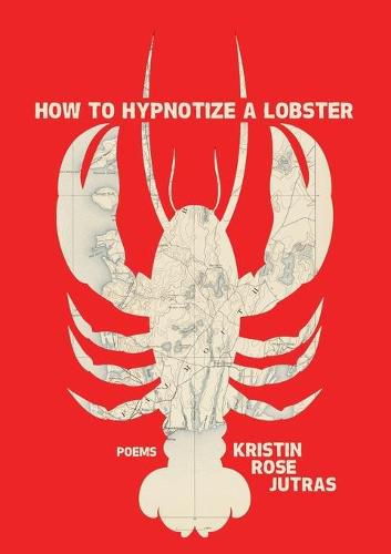 Cover image for How to Hypnotize a Lobster