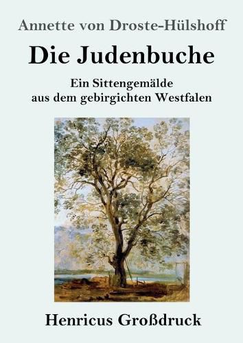 Cover image for Die Judenbuche (Grossdruck): Ein Sittengemalde aus dem gebirgichten Westfalen