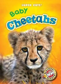 Cover image for Baby Cheetahs