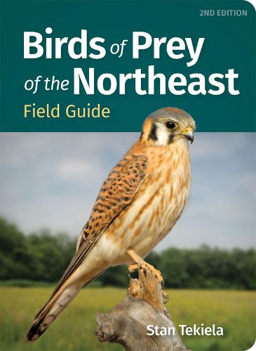 Cover image for Birds of Prey of the Northeast Field Guide