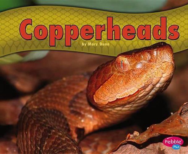 Cover image for Copperheads