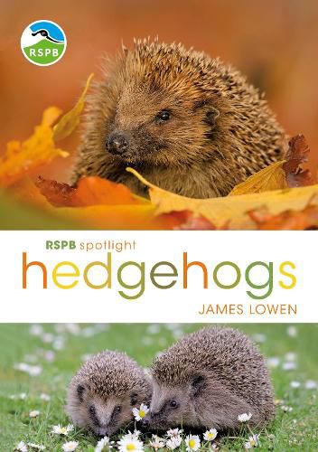 Cover image for RSPB Spotlight Hedgehogs