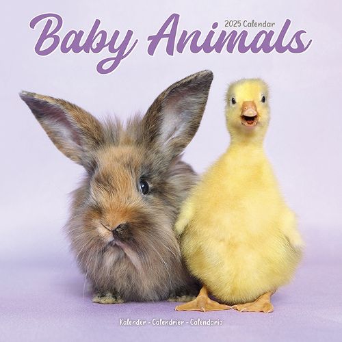 Baby Animals Calendar 2025 Square Animal Wall Calendar - 16 Month