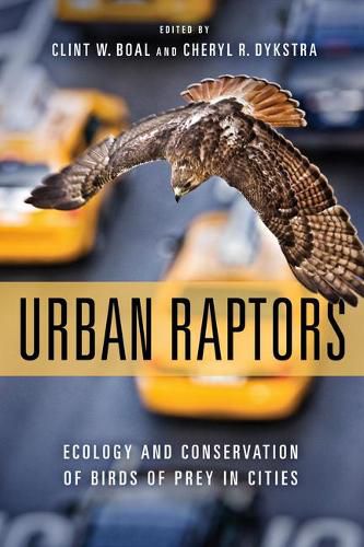 Cover image for Urban Raptors: Ecology and Conservation of Birds of Prey in Cities