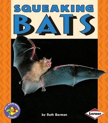 Cover image for Squeaking Bats