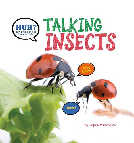 Cover image for Huh? Talking Insects